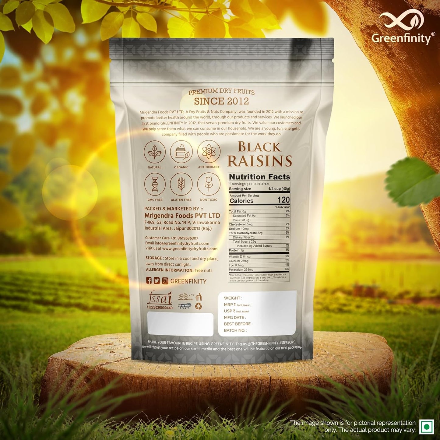 GreenFinity Premium Afghani Seedless Black Raisins - 500g