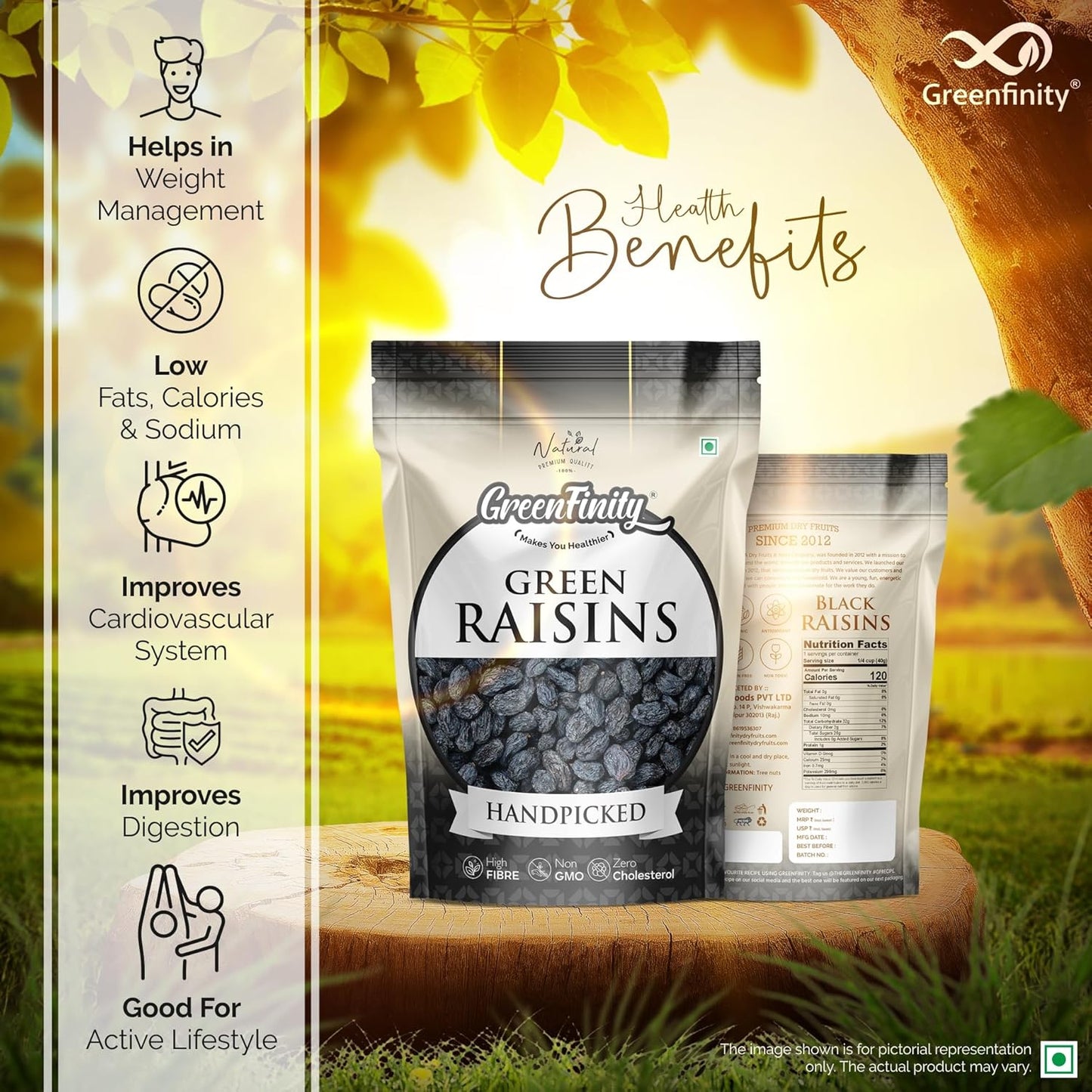GreenFinity Premium Afghani Seedless Black Raisins - 500g