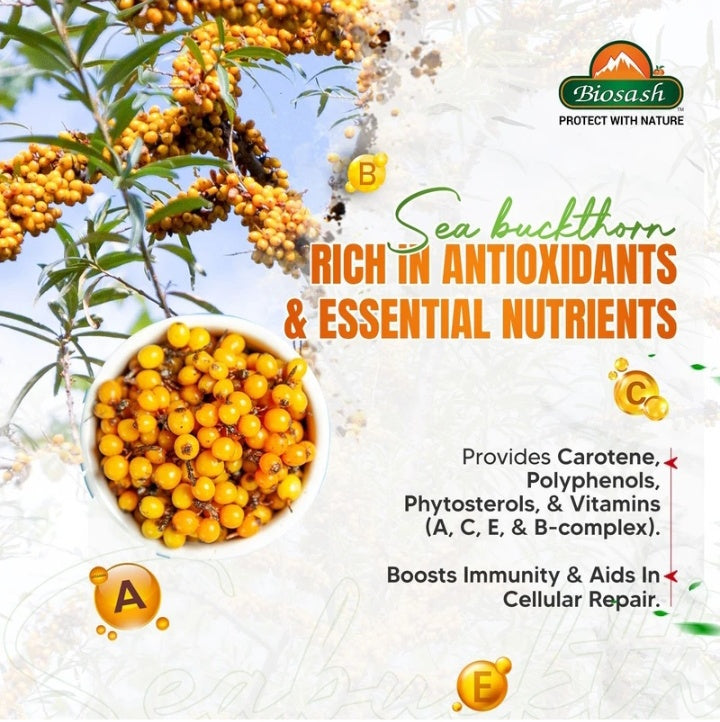 Sea Buckthorn Empower Juice Boost Energy
